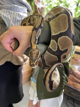 しろとり動物園に投稿された画像（2022/1/15）