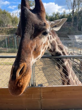 しろとり動物園に投稿された画像（2022/1/15）