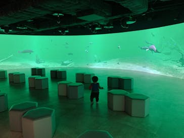 カワスイ 川崎⽔族館に投稿された画像（2022/1/15）