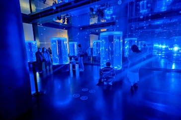 マクセル アクアパーク品川に投稿された画像（2022/1/15）