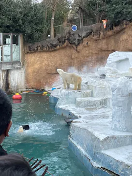 天王寺動物園に投稿された画像（2022/1/15）