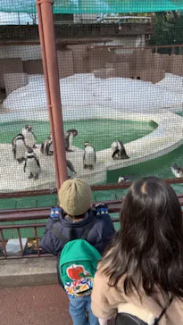 天王寺動物園に投稿された画像（2022/1/15）