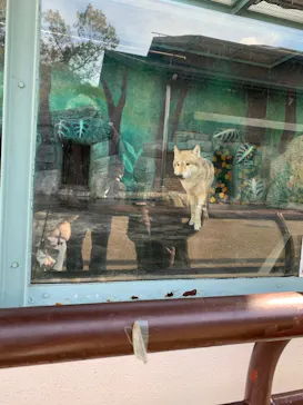 天王寺動物園に投稿された画像（2022/1/15）