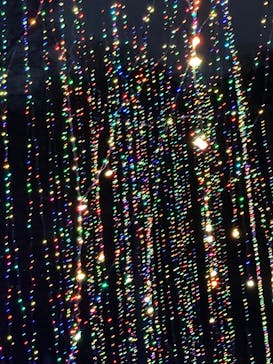 さがみ湖MORI MORIに投稿された画像（2022/1/15）