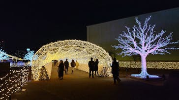東京メガイルミに投稿された画像（2022/1/15）
