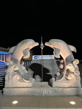 アクアワールド茨城県大洗水族館に投稿された画像（2022/1/15）