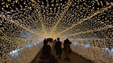 東京メガイルミに投稿された画像（2022/1/15）