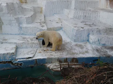 天王寺動物園に投稿された画像（2022/1/15）