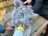 しろとり動物園に投稿された画像（2022/1/15）