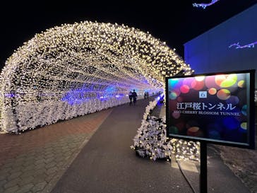 東京メガイルミに投稿された画像（2022/1/15）