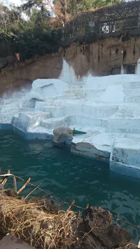 天王寺動物園に投稿された画像（2022/1/15）