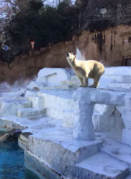 天王寺動物園に投稿された画像（2022/1/15）