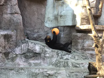 天王寺動物園に投稿された画像（2022/1/15）