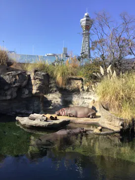 天王寺動物園に投稿された画像（2022/1/15）
