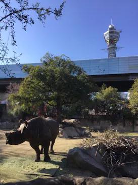 天王寺動物園に投稿された画像（2022/1/15）