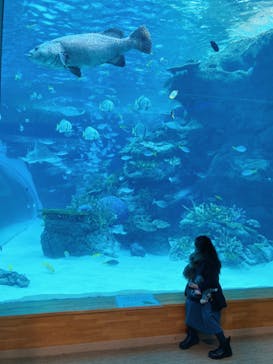 名古屋港水族館に投稿された画像（2022/1/15）