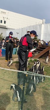名古屋港水族館に投稿された画像（2022/1/15）