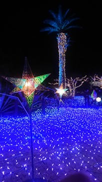 江の島シーキャンドルに投稿された画像（2022/1/15）