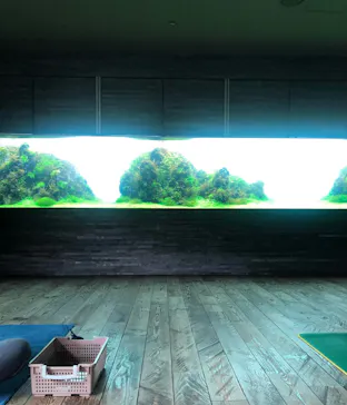 すみだ水族館に投稿された画像（2022/1/14）