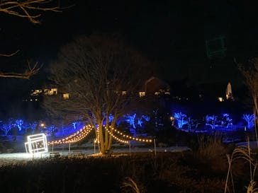 KYOTO ILLUMINATION SYNESTHESIA HILLS るり渓温泉に投稿された画像（2022/1/15）