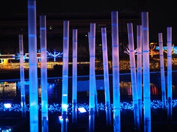 東京メガイルミに投稿された画像（2022/1/15）