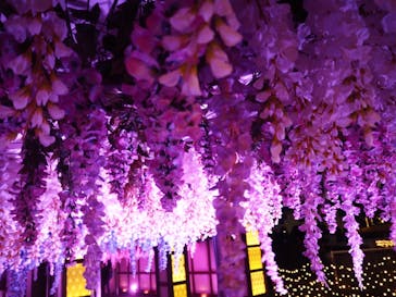 東京メガイルミに投稿された画像（2022/1/15）