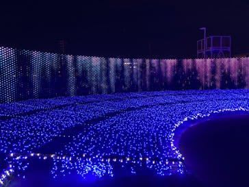 東京メガイルミに投稿された画像（2022/1/15）