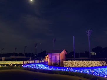 東京メガイルミに投稿された画像（2022/1/15）