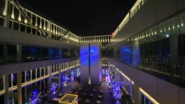 ハルカス300(展望台)に投稿された画像（2022/1/15）