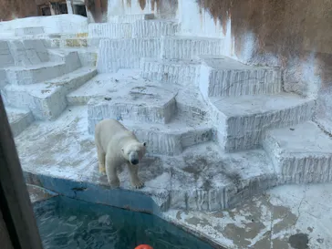 天王寺動物園に投稿された画像（2022/1/15）