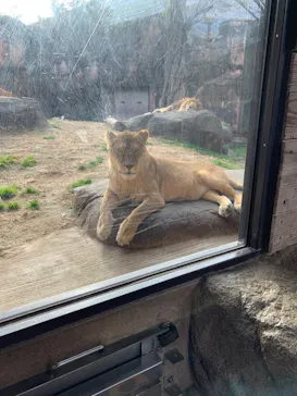 天王寺動物園に投稿された画像（2022/1/15）