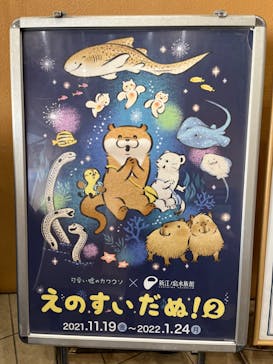 新江ノ島水族館に投稿された画像（2022/1/15）