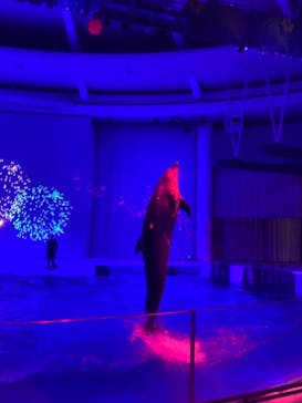 アクアワールド茨城県大洗水族館に投稿された画像（2022/1/15）