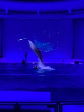 アクアワールド茨城県大洗水族館に投稿された画像（2022/1/15）