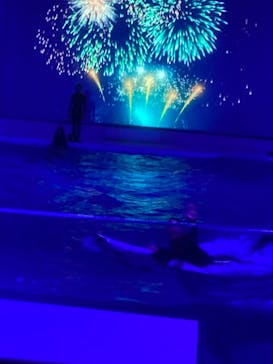 アクアワールド茨城県大洗水族館に投稿された画像（2022/1/15）