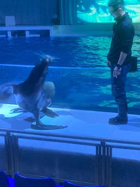 アクアワールド茨城県大洗水族館に投稿された画像（2022/1/15）