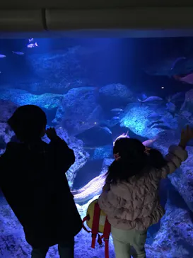 すみだ水族館に投稿された画像（2022/1/15）