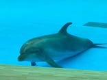 アクアワールド茨城県大洗水族館に投稿された画像（2022/1/16）