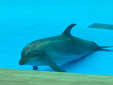 アクアワールド茨城県大洗水族館に投稿された画像（2022/1/15）