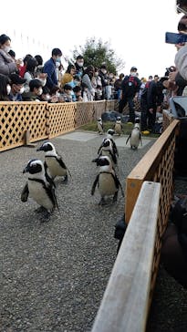 名古屋港水族館に投稿された画像（2022/1/15）