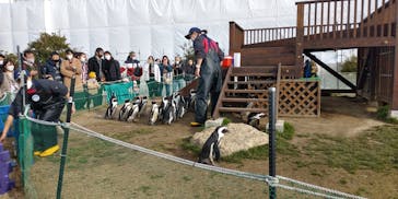 名古屋港水族館に投稿された画像（2022/1/15）