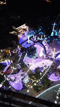 江の島シーキャンドルに投稿された画像（2022/1/15）