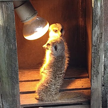 伊豆シャボテン動物公園に投稿された画像（2022/1/15）