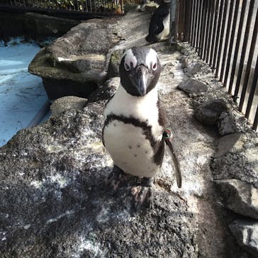 伊豆シャボテン動物公園に投稿された画像（2022/1/15）