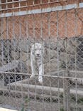 東武動物公園に投稿された画像（2022/1/16）