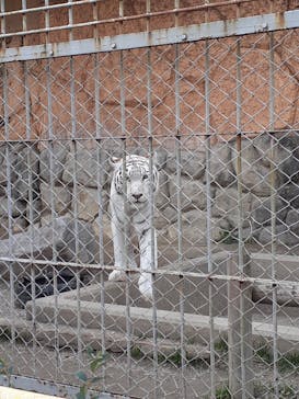 東武動物公園に投稿された画像（2022/1/15）