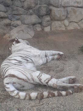 東武動物公園に投稿された画像（2022/1/15）