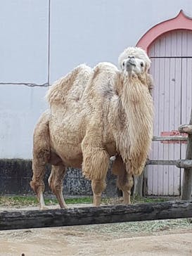 東武動物公園に投稿された画像（2022/1/15）