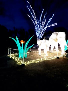 東武動物公園に投稿された画像（2022/1/15）