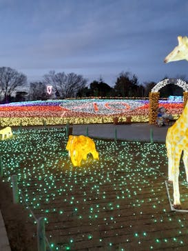 東武動物公園に投稿された画像（2022/1/15）